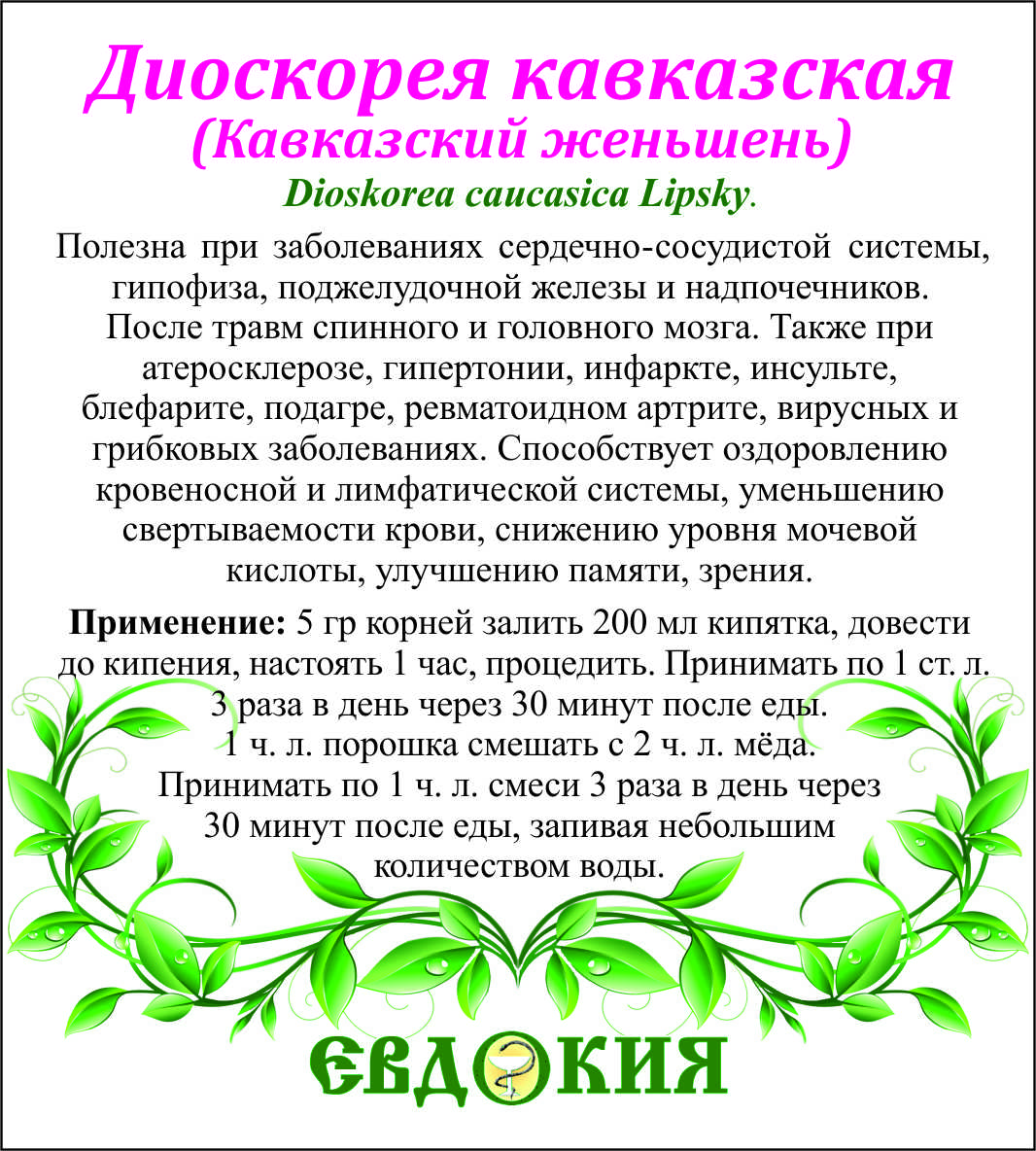 Диоскорея Кавказская травы Кавказа